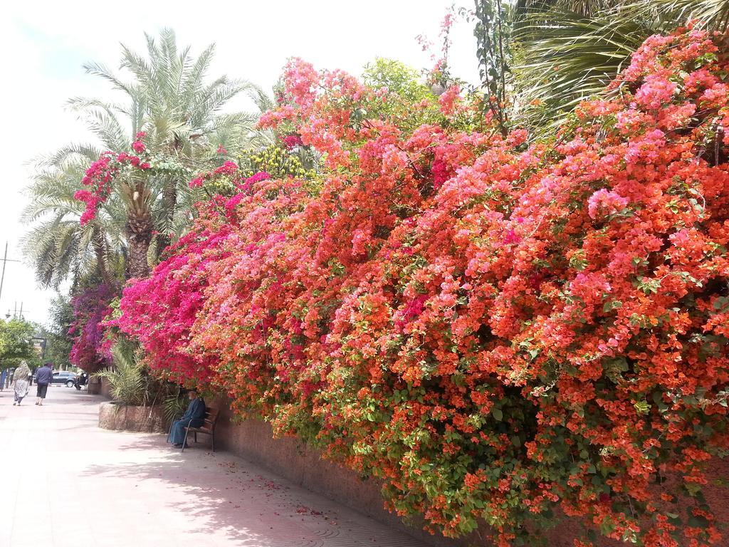Riad Des Etoiles Marrakesh Exterior foto